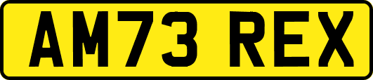 AM73REX