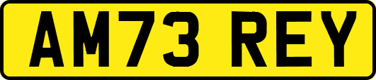 AM73REY