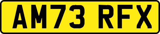 AM73RFX