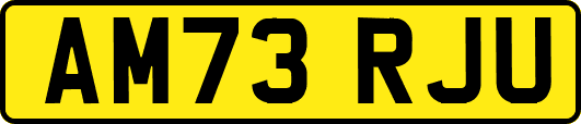 AM73RJU