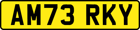 AM73RKY
