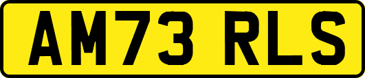 AM73RLS
