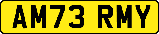 AM73RMY