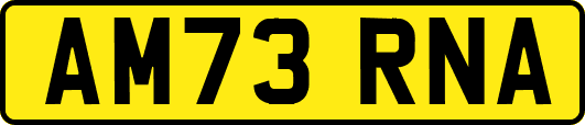 AM73RNA
