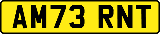 AM73RNT