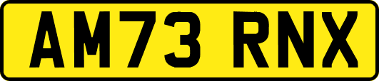 AM73RNX