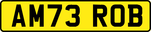 AM73ROB