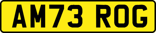 AM73ROG