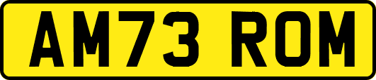 AM73ROM