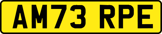AM73RPE
