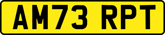 AM73RPT