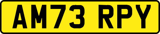 AM73RPY