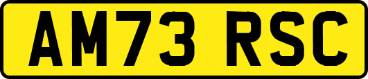 AM73RSC