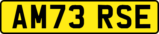 AM73RSE