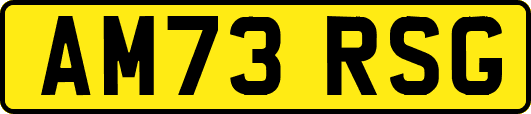 AM73RSG