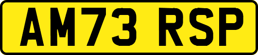 AM73RSP