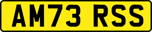 AM73RSS