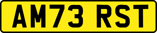 AM73RST