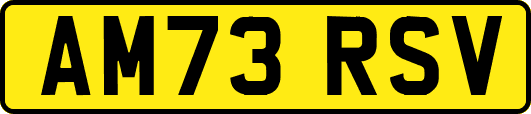AM73RSV