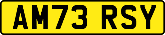 AM73RSY