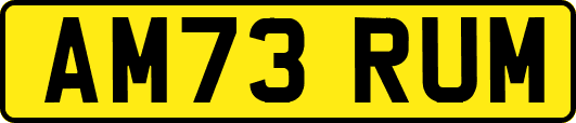 AM73RUM