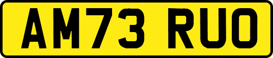 AM73RUO