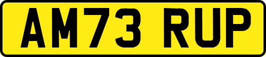 AM73RUP