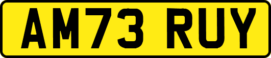 AM73RUY