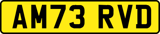 AM73RVD