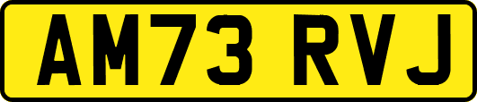 AM73RVJ