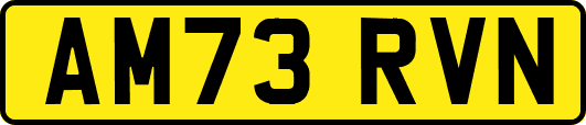 AM73RVN