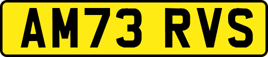 AM73RVS
