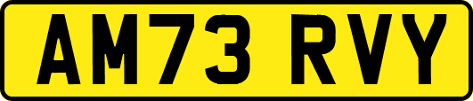 AM73RVY