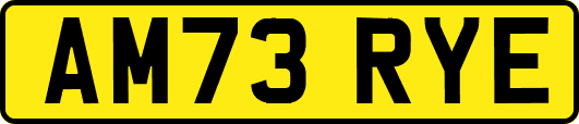AM73RYE