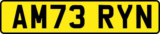 AM73RYN