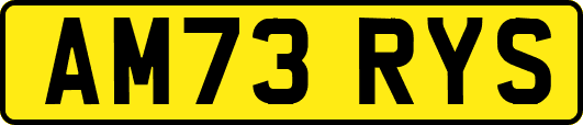 AM73RYS