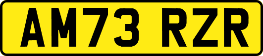 AM73RZR