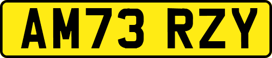 AM73RZY
