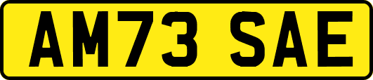 AM73SAE