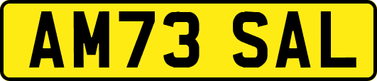 AM73SAL
