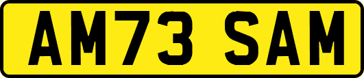 AM73SAM