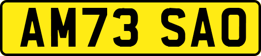 AM73SAO