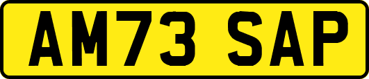 AM73SAP