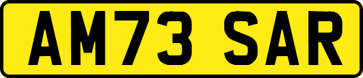 AM73SAR