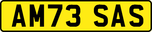 AM73SAS