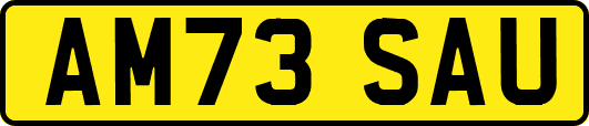 AM73SAU