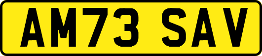 AM73SAV