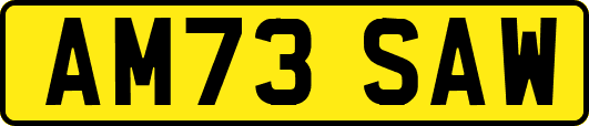 AM73SAW