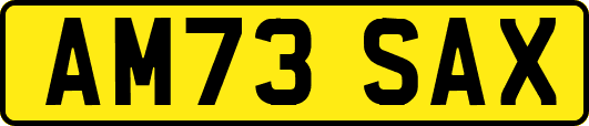 AM73SAX