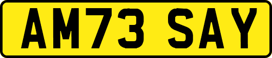 AM73SAY